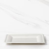 Biodegradable & Compostable Bagasse Plate 210X210X18 MM