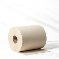 BAMBOO HAND TOWEL ROLL 2 PLY 200X225MM, 470SHEETS